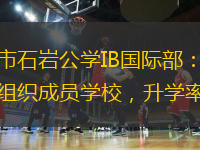 深圳市石巖公學IB國際部：國際文憑組織成員學校，升學率100%